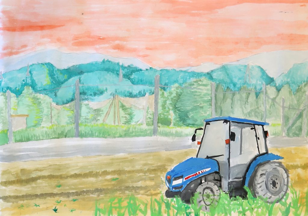 「おばあちゃんの開発畑」森町小学校　６年　大竹　琉生